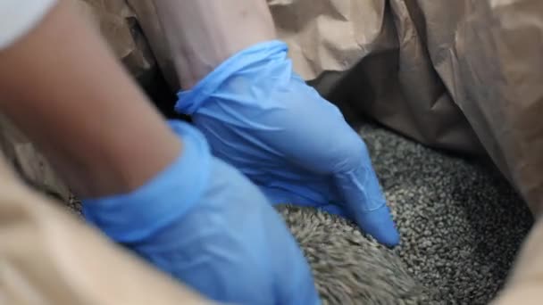 Manos Con Guantes Látex Azul Tomando Semillas Cáñamo Cbd Saco — Vídeos de Stock