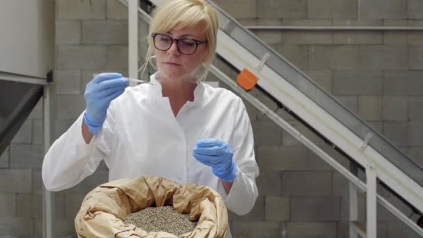 Wissenschaftler Entnimmt Proben Von Getrocknetem Cbd Hanfsamen Aus Sack Mit — Stockvideo