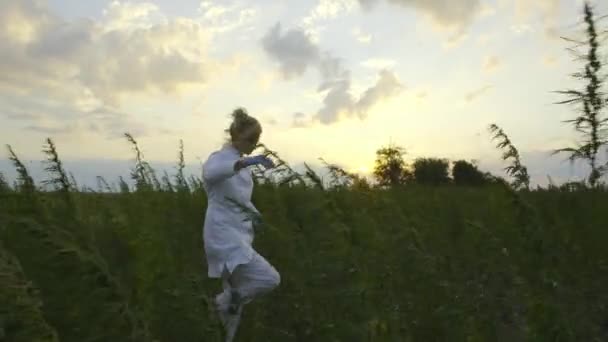 Bilim Adamı Marihuana Cbd Kenevir Bitkiler Alanında Kötü Rüzgarlı Hava — Stok video