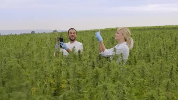 Twee Wetenschappers Observeren Cbd Hennepplanten Marihuana Veld Het Schrijven Van — Stockvideo