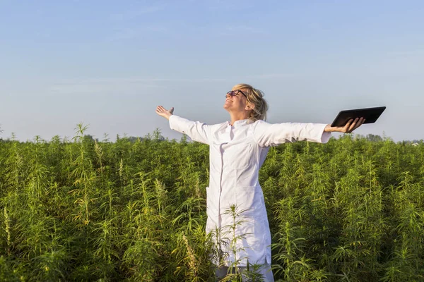 Wissenschaftler auf Marihuana-Feld glücklich und zufrieden mit cbd-Hanfpflanzen. — Stockfoto