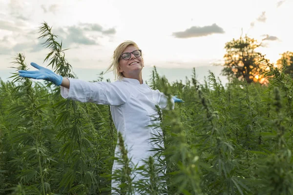 マリファナフィールドの科学者は幸せで、Cbd麻の植物に満足しています。彼女は大きく開いた手を持っている — ストック写真