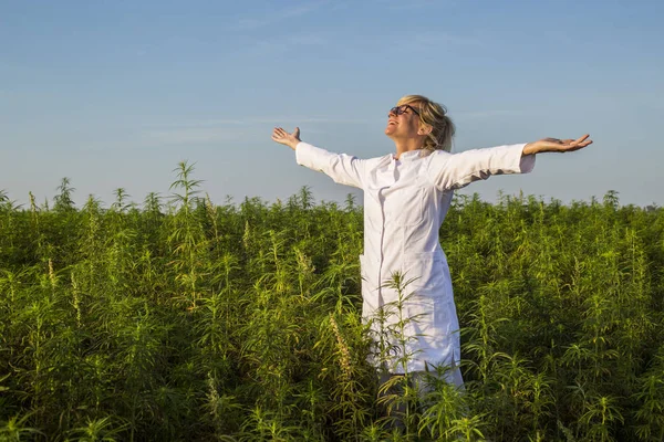 Wissenschaftler auf Marihuana-Feld glücklich und zufrieden mit cbd-Hanfpflanzen. — Stockfoto