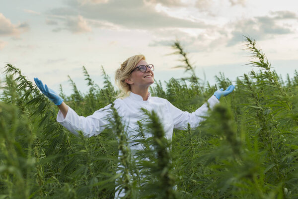 Ученый на поле марихуаны доволен и доволен CBD конопли растений. У неё широко раскрытые руки.

