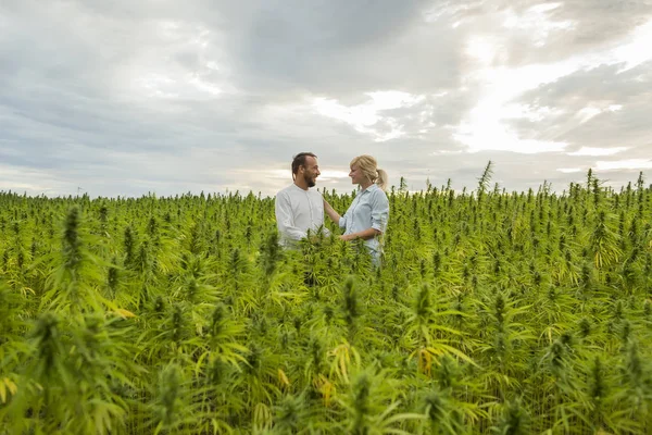 Mann und Frau stehen stolz in ihrer Cannabis-Cannabis-Hanfpflanze — Stockfoto