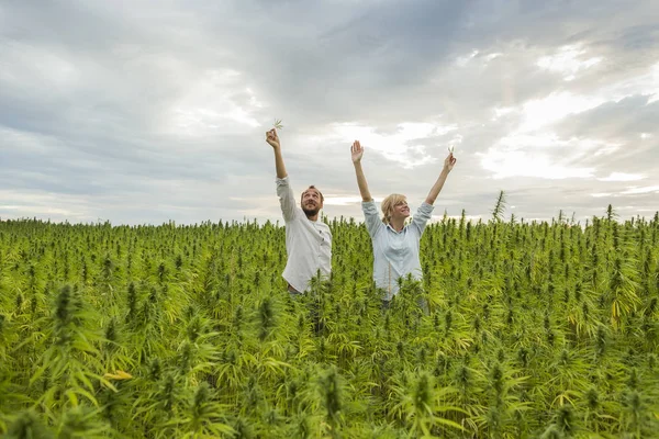 Erkek ve kadın marihuana Cbd kenevir bitkiler alan ve ho ayakta — Stok fotoğraf