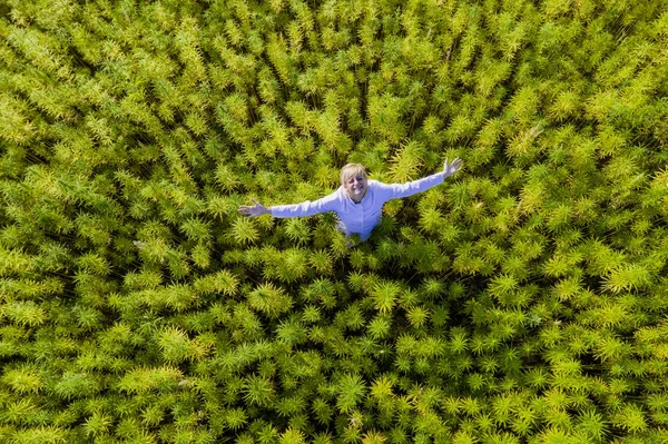 Inyección aérea de la mujer en el campo de marihuana brazos extendidos felices y satisfechos con las plantas de cáñamo CBD — Foto de Stock
