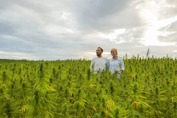 Erkek ve kadın gururla kendi marihuana Cbd kenevir bitki ayakta — Stok fotoğraf