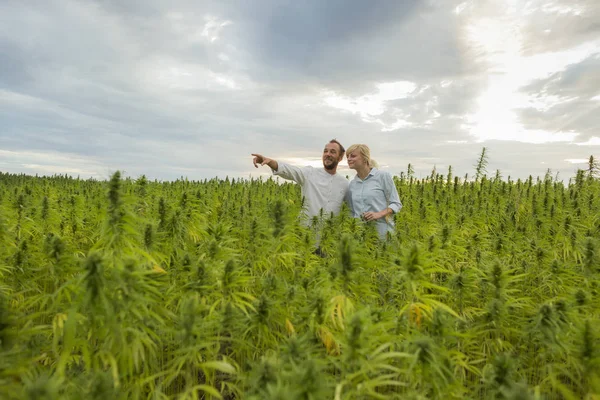 Mann zeigt einer Frau cbd-Hanffarm. — Stockfoto