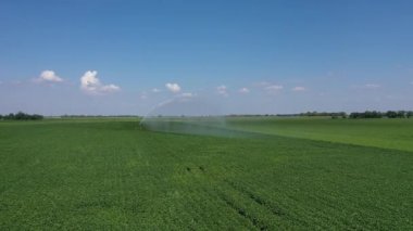 Kırsal bölgedeki ekili tarlaları sulayan sulama spreyinin havadan görüntüsü.