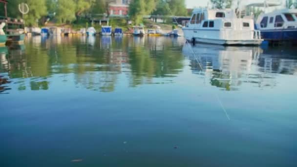 在绿线上宽镜头的钓鱼诱饵 它在稳定的水底是可见的 春天它在河面附近吸引鱼 — 图库视频影像