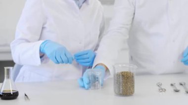 Bilim adamları deney sırasında deney kabında marihuana ile çalışıyorlar. CBD ve CBDA yağları ve cam tüpler masada. Esrardan alınan sağlık eczanesi.