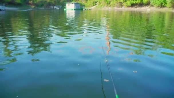 Flutuador Pesca Águas Rasas Rio Danúbio — Vídeo de Stock