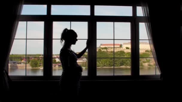 Silhouette Une Femme Enceinte Ombre Près Fenêtre Été Photographié Partir — Video