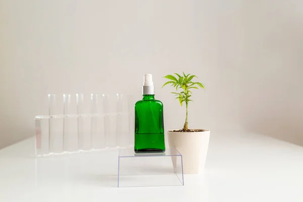Cbd喷雾产品和大麻大麻植物放置在旁边 一个喷雾器站在一个透明的玻璃立方体上 背景是试管 — 图库照片