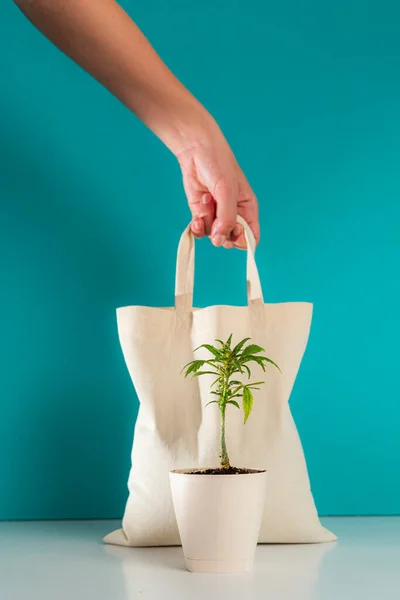 Eco bag with a marijuana plant positioned in front in a white flowerpot, with a blue background. One hand from above is holding an ecological bag.