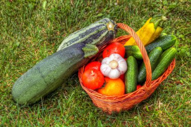 Çimenlerin üzerinde sebze sepeti