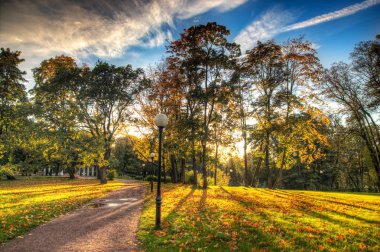 Sonbahar yolu arka plan görünümü