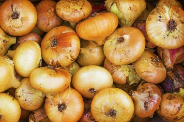 Doğal soğan görünümü arka plan