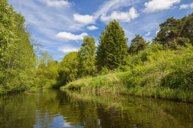Nehir yaz Doğa Sahil