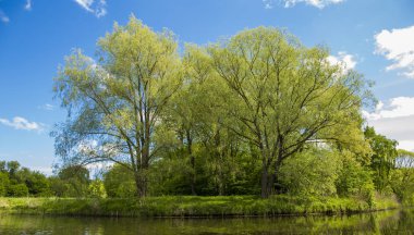 Nehir yaz Doğa Sahil