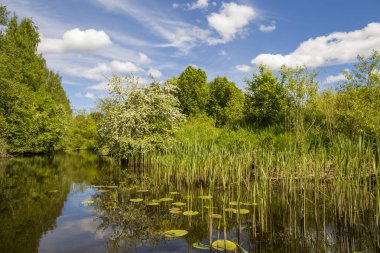 Nehir yaz Doğa Sahil