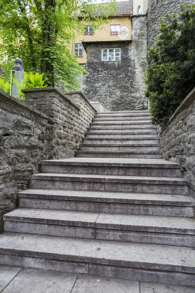 Escalera Piedra Parque — Foto de Stock