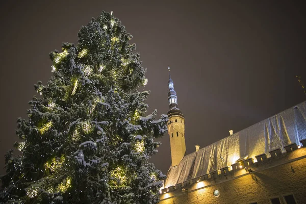 Árbol Navidad Tallinn Cuadrado — Foto de Stock