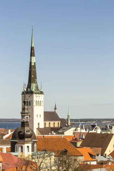Tallin Ciudad Fondo Panorama — Foto de Stock