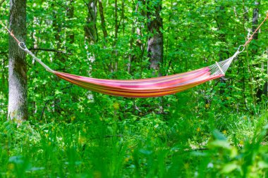 Hamak ormanda