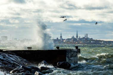 Tallinn deniz fırtınası