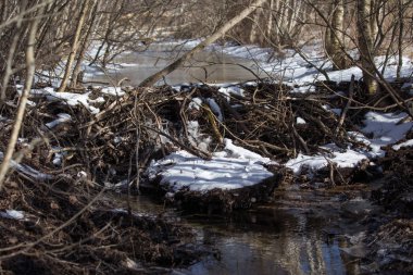 Kış, Kunduz Barajı