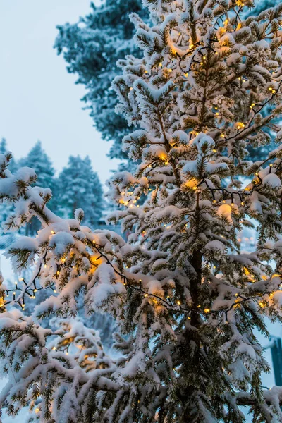 Babbo Natale Villaggio Lapponia Finlandia — Foto Stock