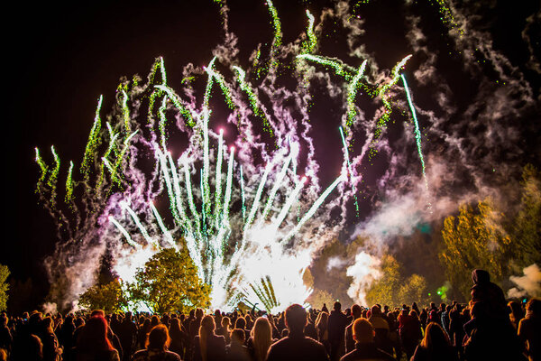 Firework in park at night