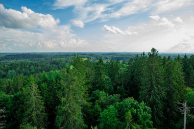 Estonya - Suur Munamgi en yüksek dağı üzerinden görüntülemek