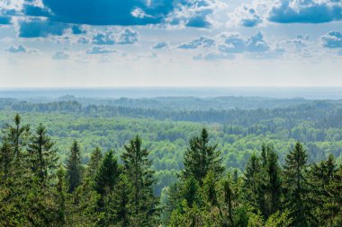 Estonya - Suur Munamgi en yüksek dağı üzerinden görüntülemek