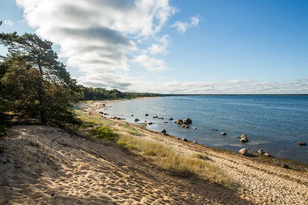 爱沙尼亚 Kloogaranna 夏季海岸 — 图库照片