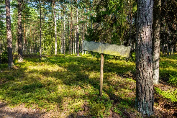 Teller Grünen Wald — Stockfoto