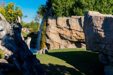 Hayvanlar bioparc Valencia için eğlence manzara