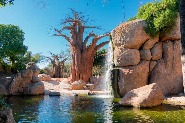 Bioparc Valencia, hayvanlar için eğlence manzara