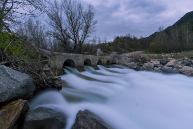 Janovas Aragon İspanya'da ipek etkisi