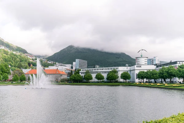 卑尔根市的风景 — 图库照片