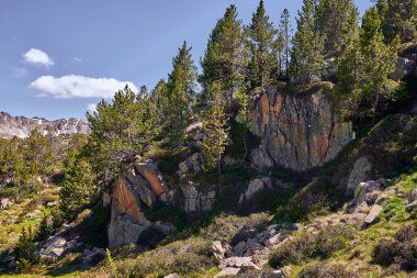 Andorran Pireneleri 'nde kayalar ve ağaçlarla kaplı bir manzara.