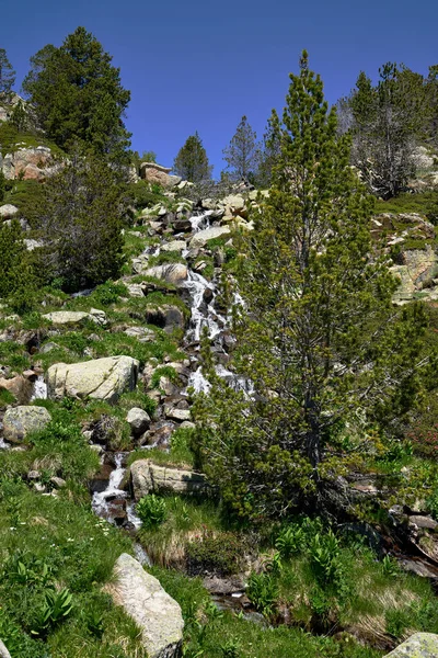 小瀑布流过高山 沿着安多兰山脉的山沟小径流过 — 图库照片