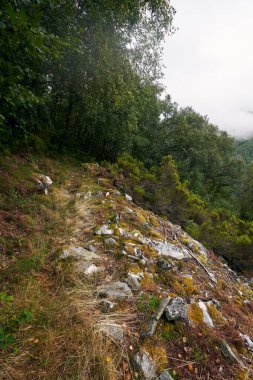 İspanya 'nın güneybatısındaki Asturias' ın sisli dağlarındaki kayalık ve bitkisel patika
