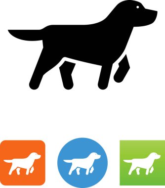  Golden Retriever işaret simgesi