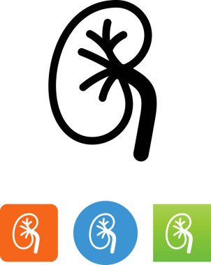 İnsan böbrek ikonu