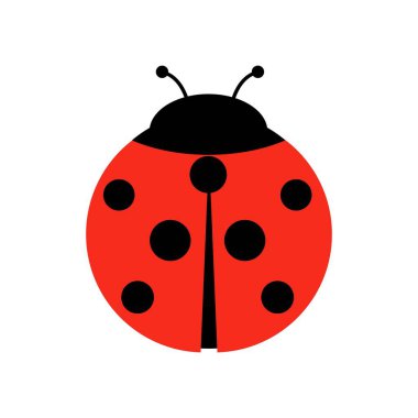 Uğur böceği ya da uğur böceği vektör grafik çizimi, izole edilmiş. Siyah ve kırmızı dişi böceğin şirin düz tasarımı..