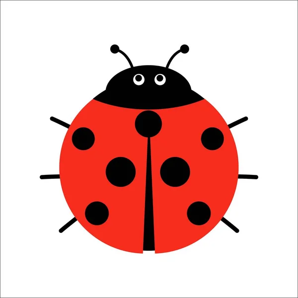 Graziosa Illustrazione Vettoriale Coccinella Stile Piatto Cartoon Coleottero Coccinella Isolato — Vettoriale Stock