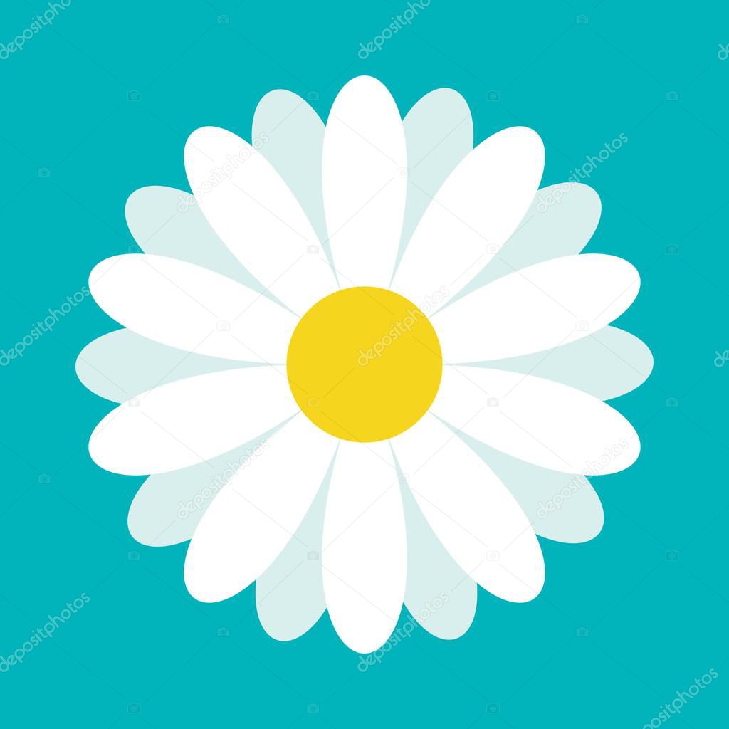 White daisy chamomile. Cute flower plant collection. Love card. Camomile icon Growing concept. Flat design. Green background. Isolated. Vector illustration